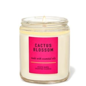 CACTUS BLOSSOM SINGLE WICK CANDLE